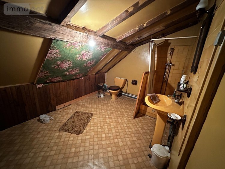 Maison a vendre Villeneuve-sur-Yonne 89500 Yonne 163 m2 6 pièces 136000 euros