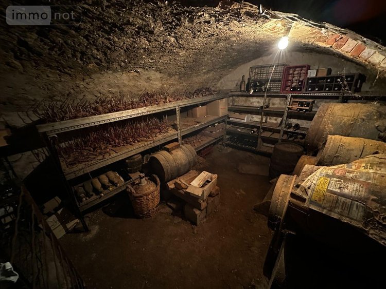 Maison a vendre Villeneuve-sur-Yonne 89500 Yonne 163 m2 6 pièces 136000 euros