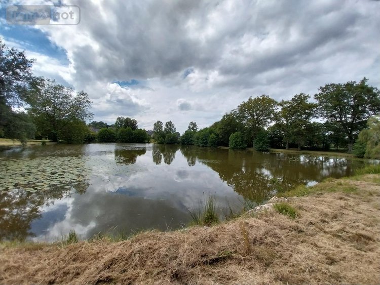 Terrains de loisirs bois etangs a vendre Champeaux 35500 Ille-et-Vilaine 26360 m2  89800 euros