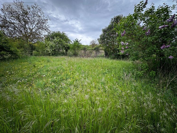 Maison a vendre Saint-Martin-du-Tertre 89100 Yonne 75 m2 3 pièces 157000 euros