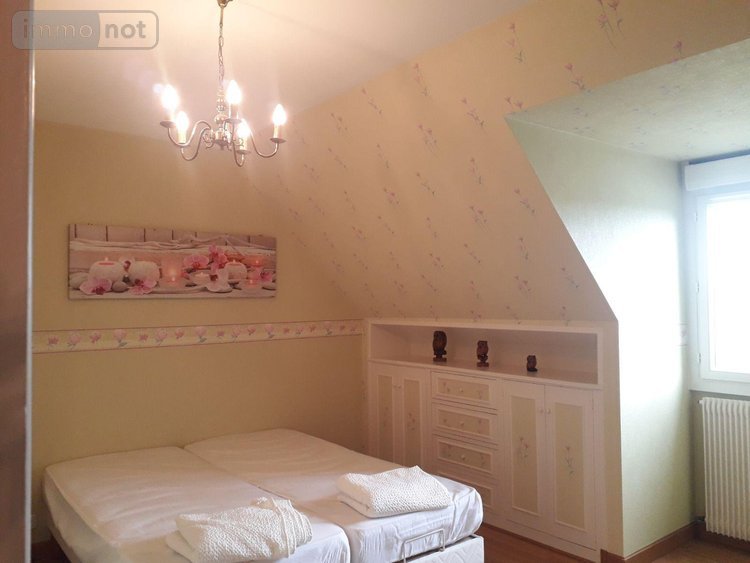 Maison a vendre Meusnes 41130 Loir-et-Cher 205 m2 6 pièces 337900 euros