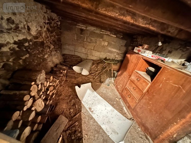 Maison a vendre Cézy 89410 Yonne 90 m2 4 pièces 59000 euros