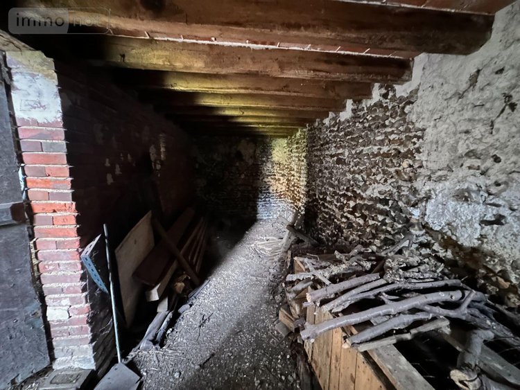 Maison a vendre Cézy 89410 Yonne 90 m2 4 pièces 59000 euros