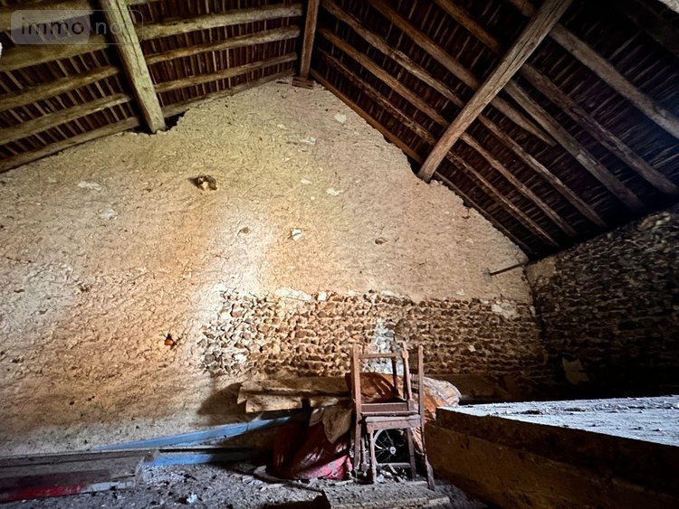 Maison a vendre Cézy 89410 Yonne 90 m2 4 pièces 59000 euros