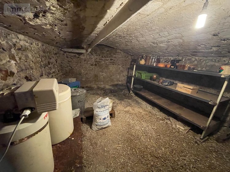 Maison a vendre Cézy 89410 Yonne 123 m2 5 pièces 157000 euros