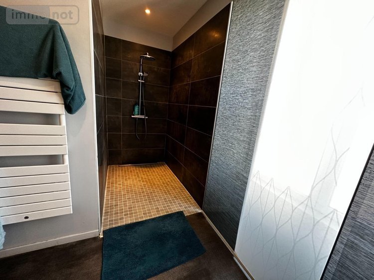 Maison a vendre Cézy 89410 Yonne 313 m2 9 pièces 349000 euros