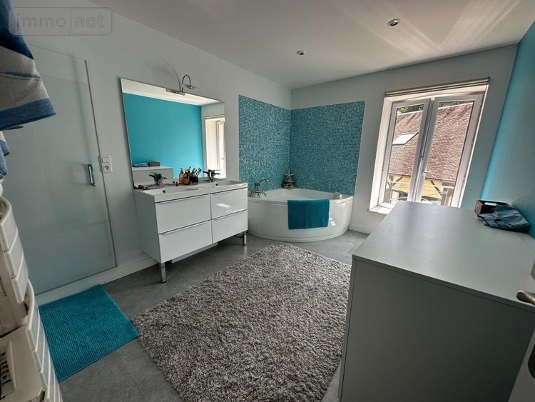 Maison a vendre Cézy 89410 Yonne 313 m2 9 pièces 349000 euros