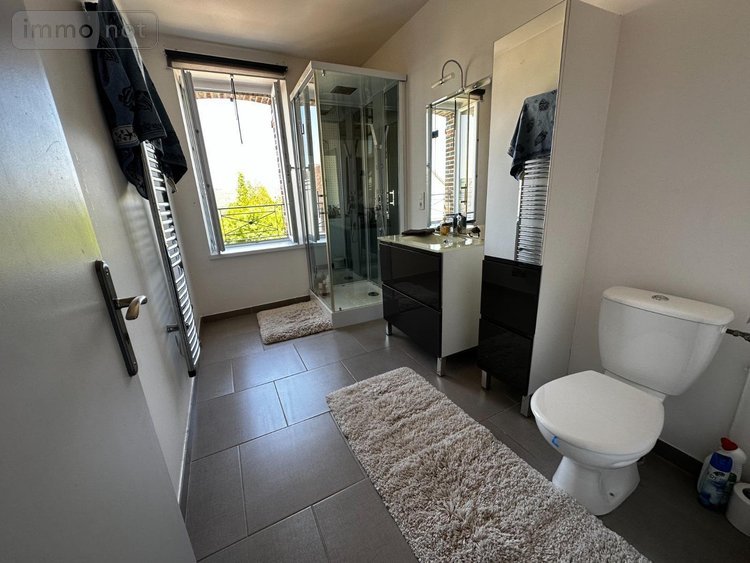 Maison a vendre Cézy 89410 Yonne 313 m2 9 pièces 349000 euros