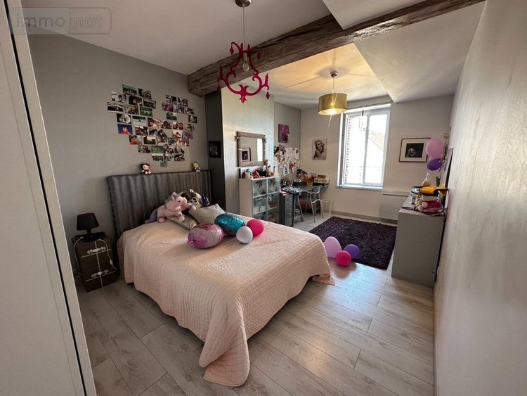 Maison a vendre Cézy 89410 Yonne 313 m2 9 pièces 349000 euros