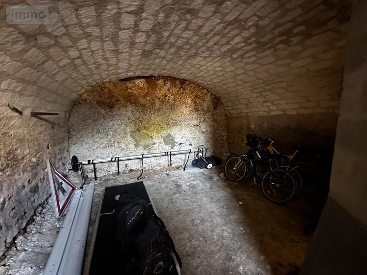 Maison a vendre Cézy 89410 Yonne 313 m2 9 pièces 349000 euros