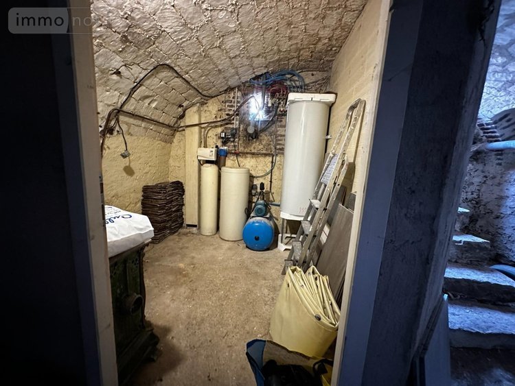 Maison a vendre Cézy 89410 Yonne 313 m2 9 pièces 349000 euros