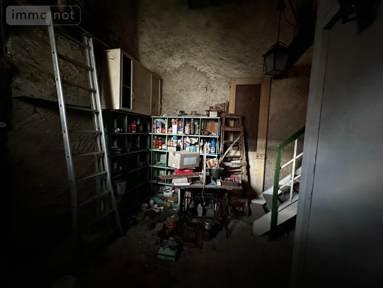 Maison a vendre Saint-Julien-du-Sault 89330 Yonne 45 m2 3 pièces 48000 euros