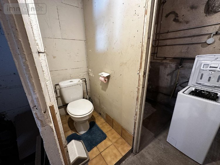 Maison a vendre Saint-Julien-du-Sault 89330 Yonne 95 m2 7 pièces 98000 euros