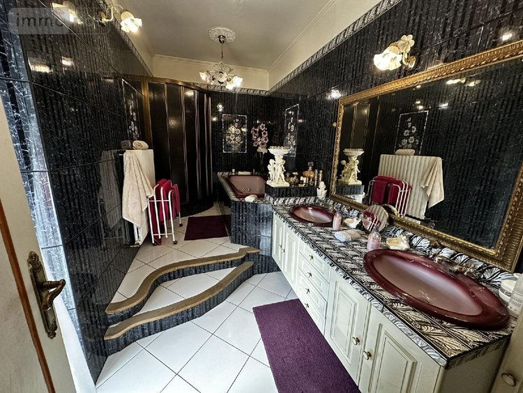 Maison a vendre Les Bordes 89500 Yonne 170 m2 5 pièces 252000 euros