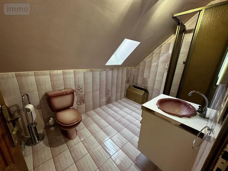 Maison a vendre Savigny-sur-Clairis 89150 Yonne 100 m2 5 pièces 136000 euros