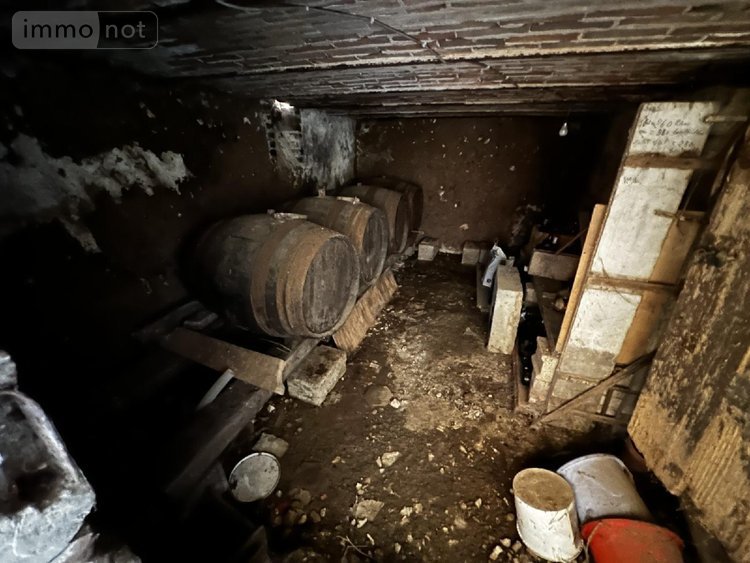 Maison a vendre Savigny-sur-Clairis 89150 Yonne 100 m2 5 pièces 136000 euros