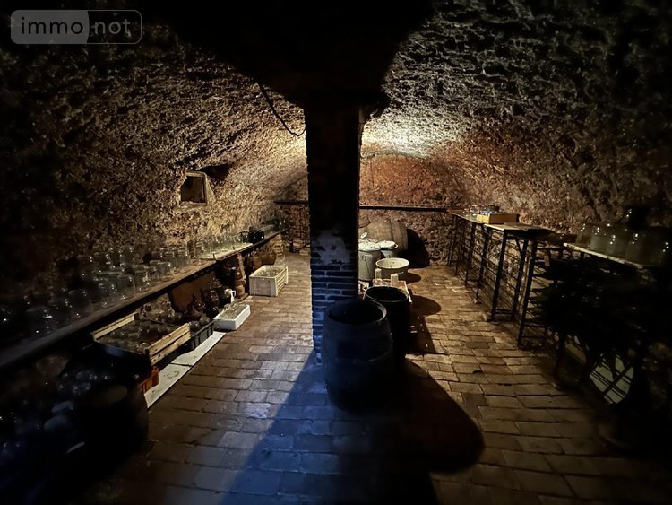 Maison a vendre Villeneuve-sur-Yonne 89500 Yonne 67 m2 3 pièces 82000 euros