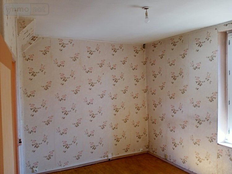 Maison a vendre Villeneuve-sur-Yonne 89500 Yonne 67 m2 3 pièces 82000 euros