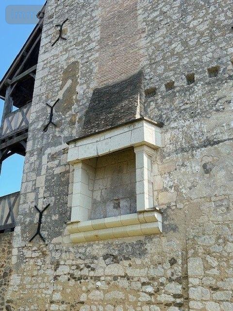 propriete a vendre Baugé-en-Anjou 49150 Maine-et-Loire 415 m2 14 pièces 606100 euros