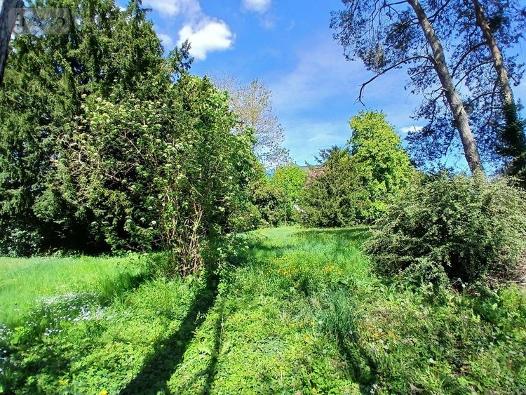 Maison a vendre Saint-Jean-le-Blanc 45650 Loiret 155 m2 7 pièces 440000 euros