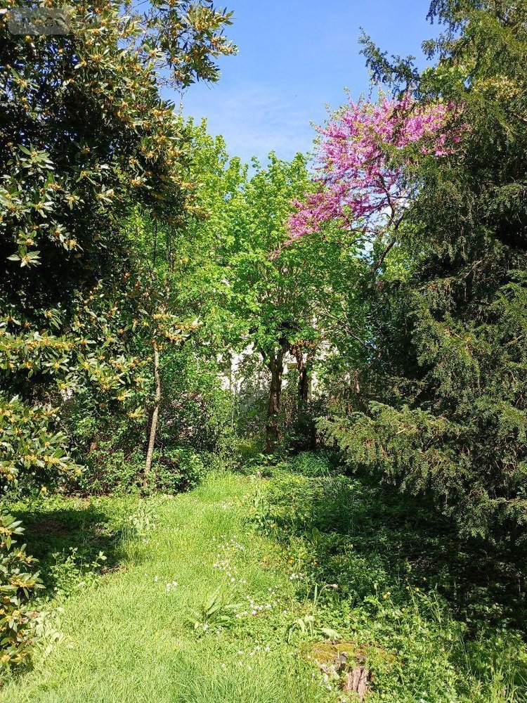 Maison a vendre Saint-Jean-le-Blanc 45650 Loiret 155 m2 7 pièces 440000 euros