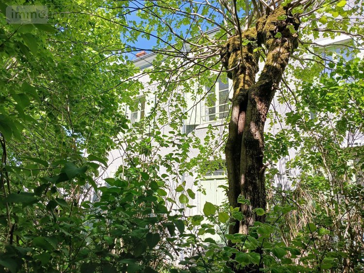 Maison a vendre Saint-Jean-le-Blanc 45650 Loiret 155 m2 7 pièces 440000 euros