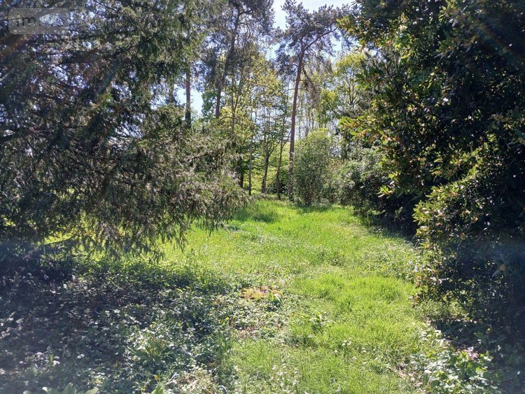 Maison a vendre Saint-Jean-le-Blanc 45650 Loiret 155 m2 7 pièces 440000 euros