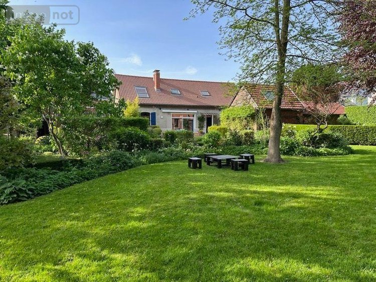 Maison a vendre Le Transloy 62450 Pas-de-Calais 174 m2 7 pièces 274500 euros