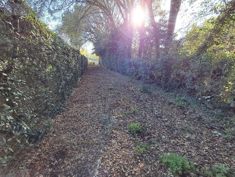 Maison a vendre Aigrefeuille-d'Aunis 17290 Charente-Maritime 200 m2 6 pièces 385984 euros