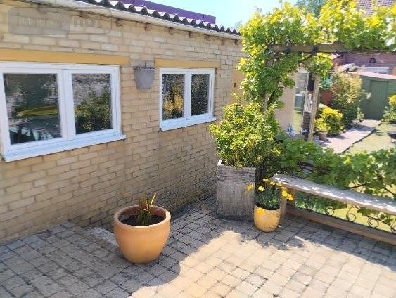 Maison a vendre Hondschoote 59122 Nord 168 m2 7 pièces 227000 euros