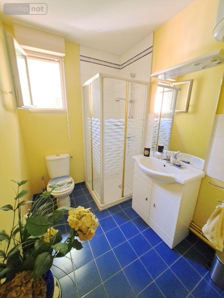 Maison a vendre Le Mans 72000 Sarthe 264 m2 10 pièces 471300 euros