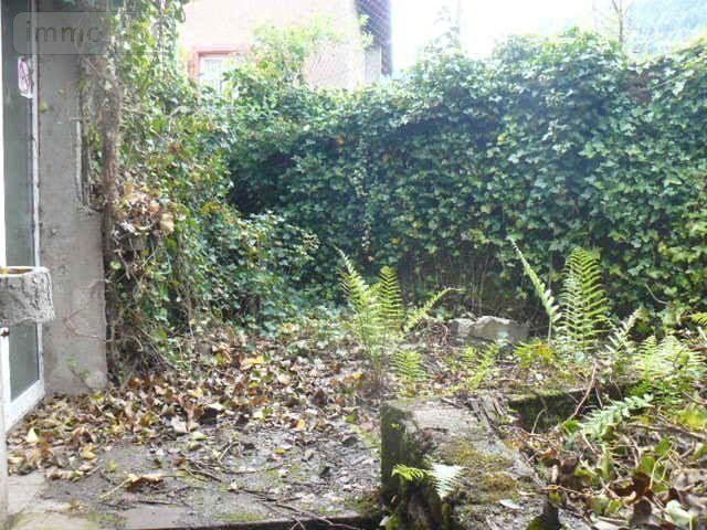 Maison a vendre Raon-sur-Plaine 88110 Vosges 100 m2 5 pièces 39000 euros