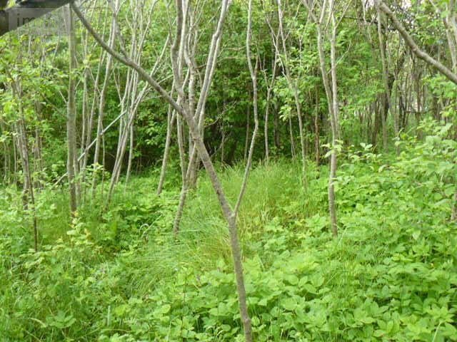 Maison a vendre Raon-sur-Plaine 88110 Vosges 100 m2 5 pièces 29000 euros