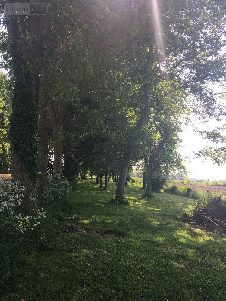 Maison a vendre Merckeghem 59470 Nord 250 m2 12 pièces 229500 euros