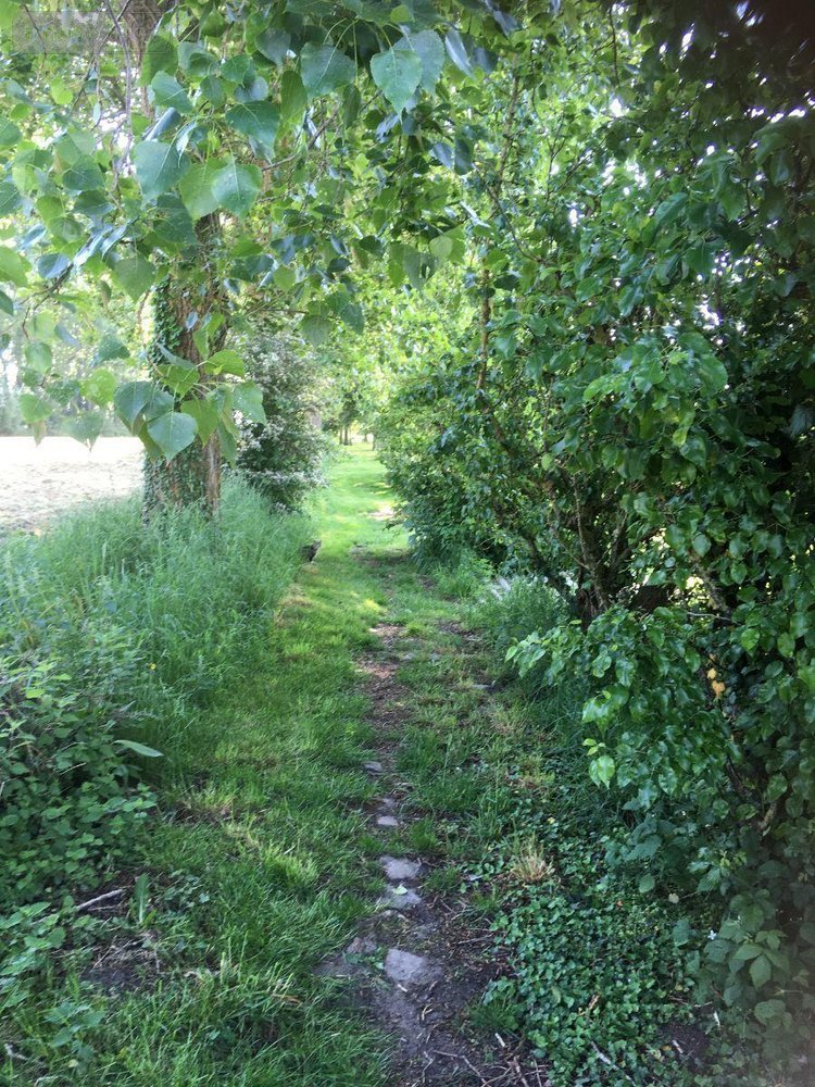 Maison a vendre Merckeghem 59470 Nord 250 m2 12 pièces 229500 euros