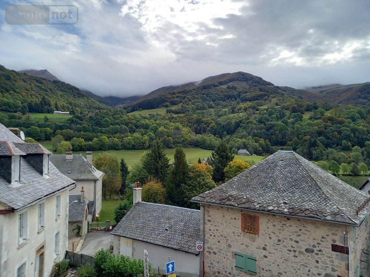 Maison a vendre Saint-Jacques-des-Blats 15800 Cantal 210 m2  138300 euros
