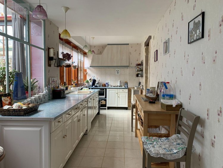 Maison a vendre Châtillon-sur-Indre 36700 Indre 175 m2 5 pièces 199900 euros