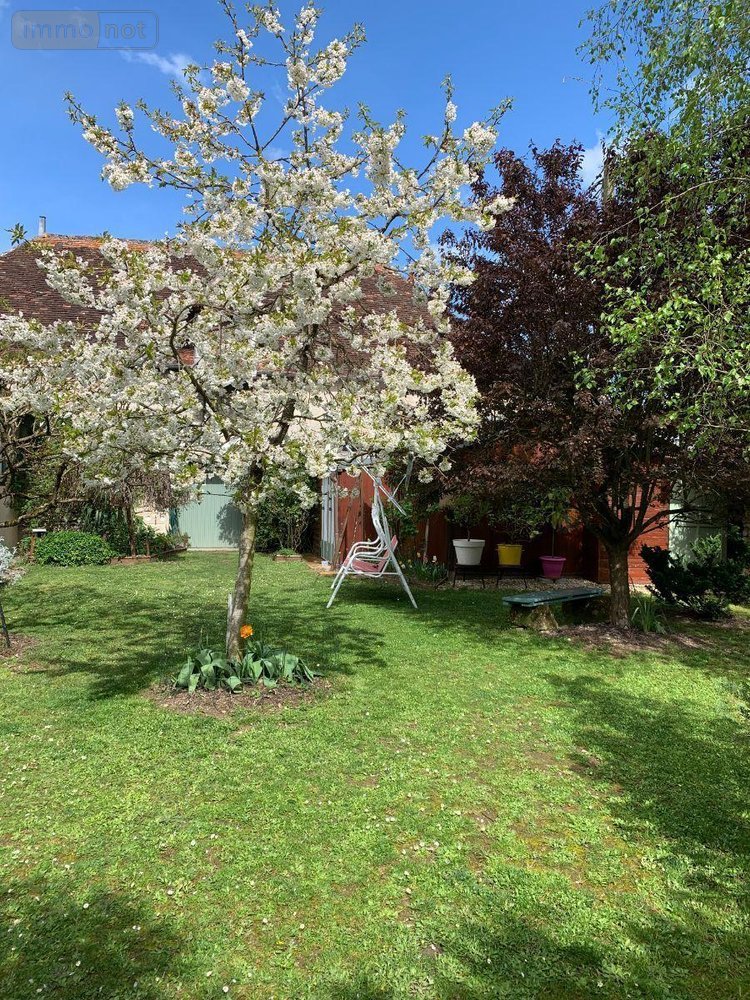 Maison a vendre Châtillon-sur-Indre 36700 Indre 175 m2 5 pièces 199900 euros