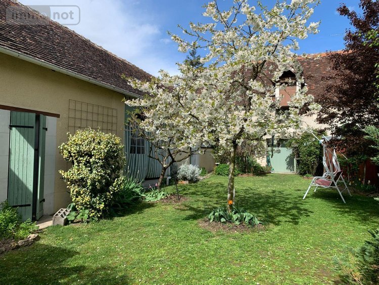Maison a vendre Châtillon-sur-Indre 36700 Indre 175 m2 5 pièces 199900 euros