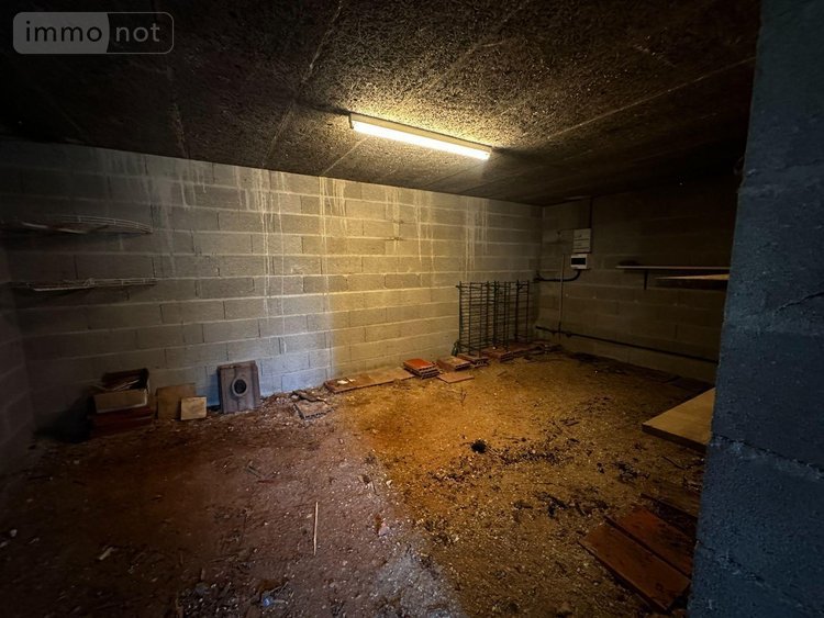 Maison a vendre Saint-Julien-du-Sault 89330 Yonne 79 m2 4 pièces 125000 euros