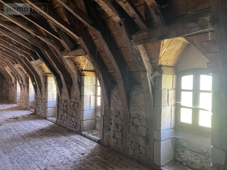 Maison a vendre Bassignac 15240 Cantal 260 m2  328600 euros