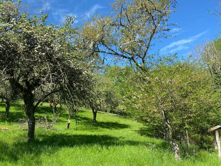 Maison a vendre Bassignac 15240 Cantal 260 m2  328600 euros