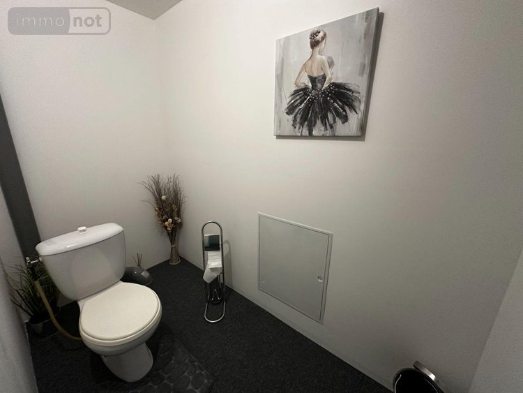 Maison a vendre Villeneuve-sur-Yonne 89500 Yonne 135 m2 5 pièces 183000 euros