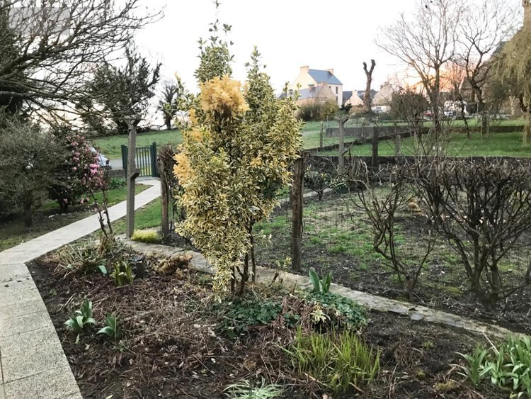 Maison a vendre Spézet 29540 Finistère 101 m2  94500 euros