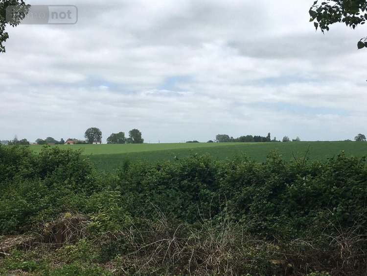 Maison a vendre Looberghe 59630 Nord 185 m2 10 pièces 409000 euros