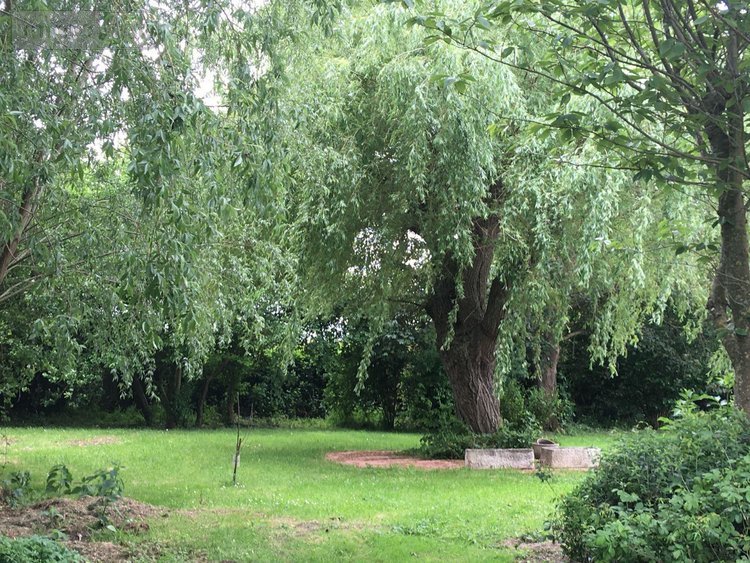 Maison a vendre Looberghe 59630 Nord 185 m2 10 pièces 409000 euros