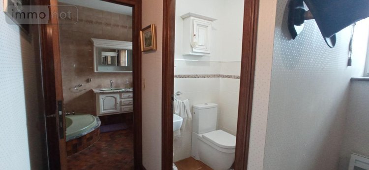 Maison a vendre Vieux-Moulins 52200 Haute-Marne 170 m2 7 pièces 283400 euros