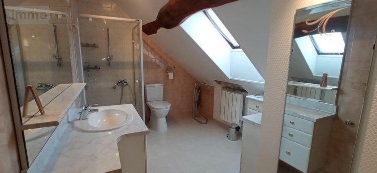 Maison a vendre Vieux-Moulins 52200 Haute-Marne 170 m2 7 pièces 308900 euros