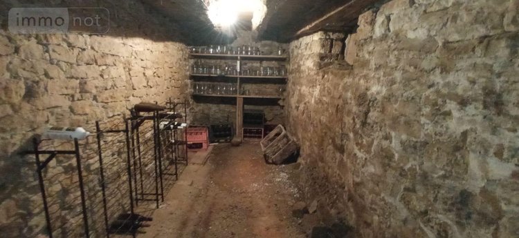 Maison a vendre Vieux-Moulins 52200 Haute-Marne 170 m2 7 pièces 283400 euros