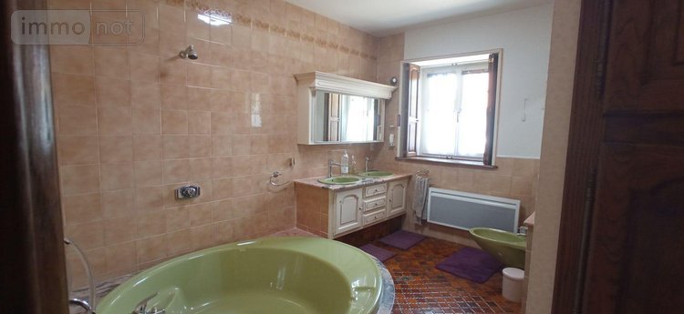 Maison a vendre Vieux-Moulins 52200 Haute-Marne 170 m2 7 pièces 283400 euros